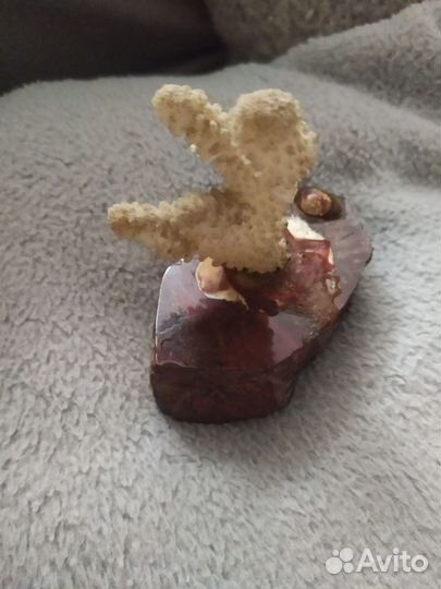 Натуральный коралл на подставке из яшмы