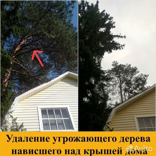 Спил деревьев,санитарная обрезка,кронирование