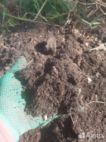 Конский навоз в мешках и перегнившие опилки