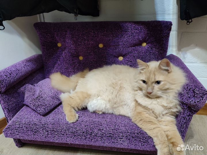 Перетяжка мягкой мебели