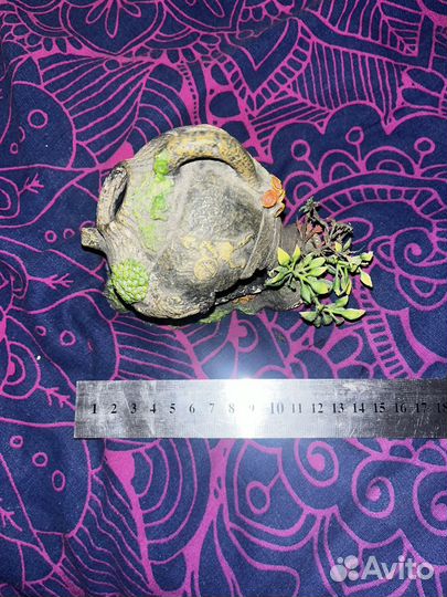 Амфора для аквариума