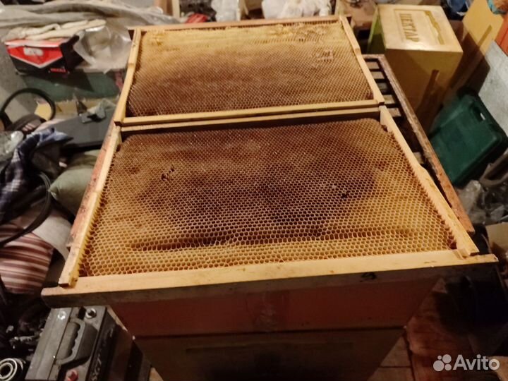 Сушь для пчел