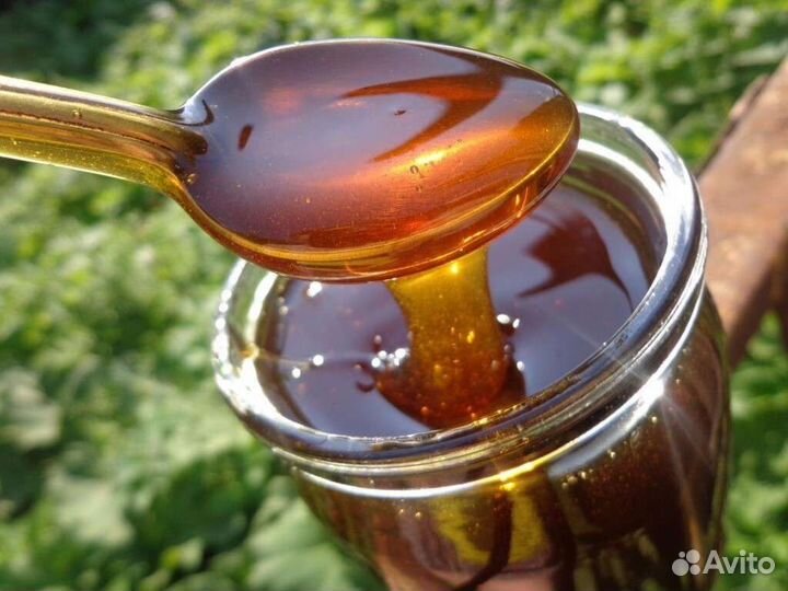 Мед мёд с Алтая