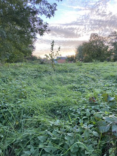 Участок 17 сот. (ИЖС)