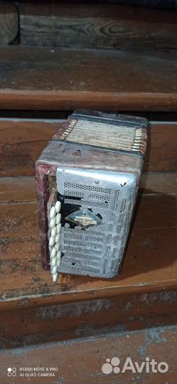 Гармошка Теза