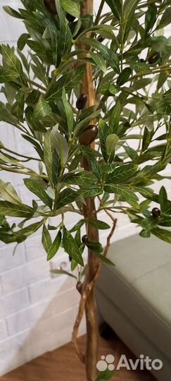 Искусственная олива искусственное дерево