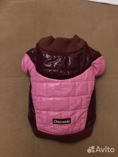 Одежда для собак