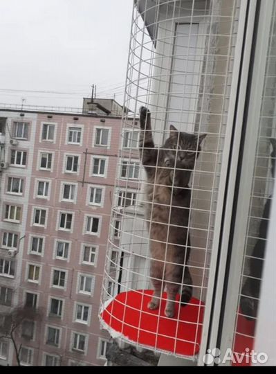 Балкончик для кошки