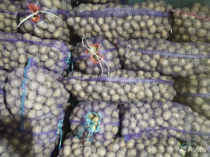 Продам картофель