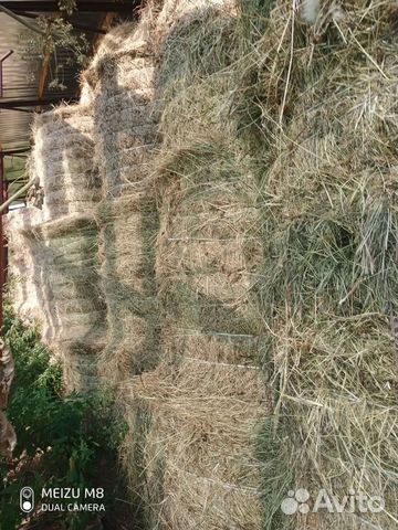 Сено в рулонах