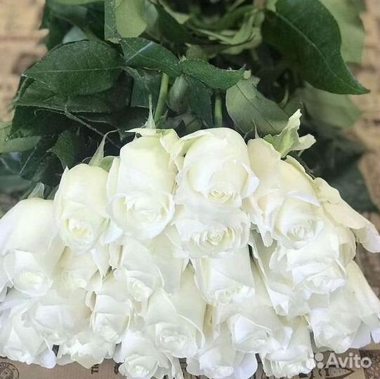 Цветы розы букеты 25 31 35 51 101 251 Доставка