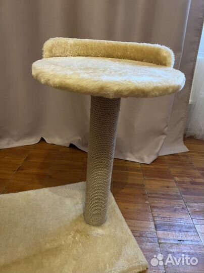 Когтеточка