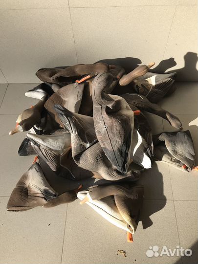 Чучела гусей надувные б/у для охоты