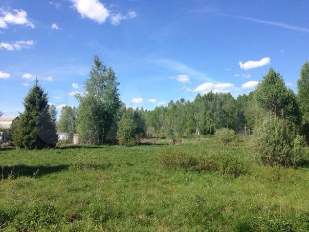 Участок 10 сот. (СНТ, ДНП)
