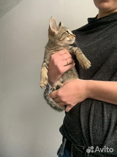 В самые добрые ручки