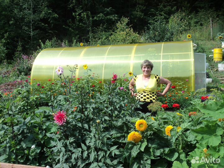 Поликарбонат