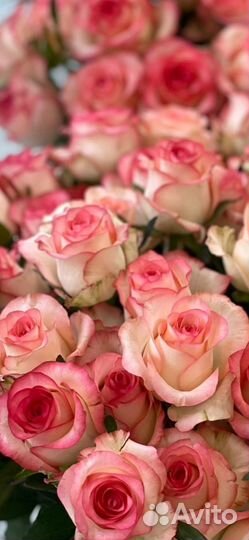 Купить розы/букет/цветы/композиции/Тольятти/Самара