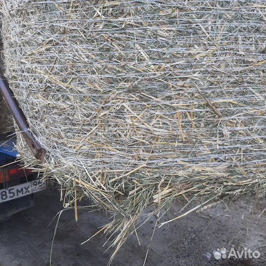 Сено с доставкой