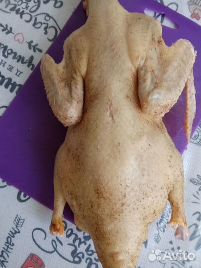 Мясо домашней птицы