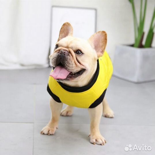 Жилет для собаки XL