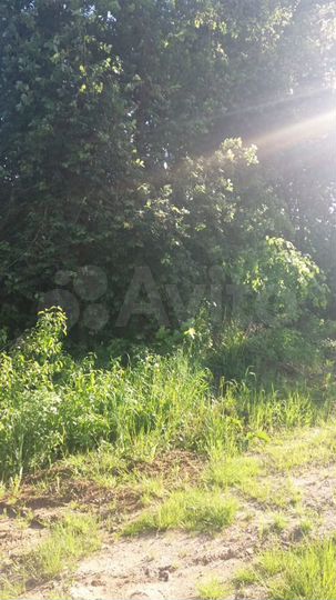 Участок 12 сот. (ИЖС)