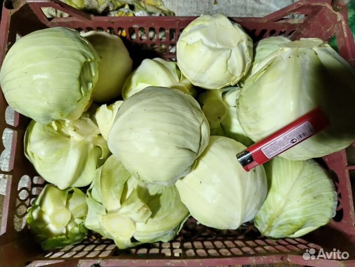 Продам картофель