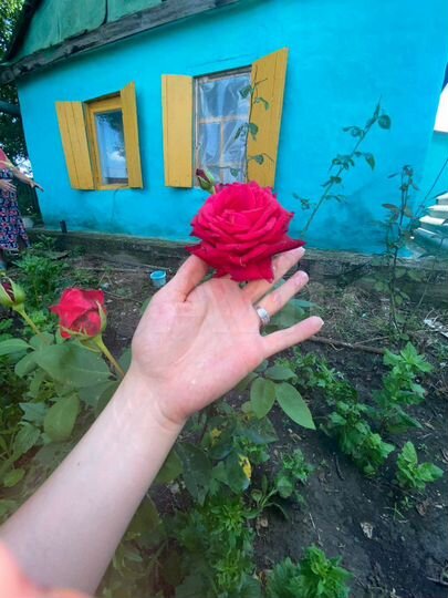 Дача 42,7 м² на участке 31,9 сот.