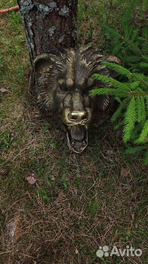 Голова медведя