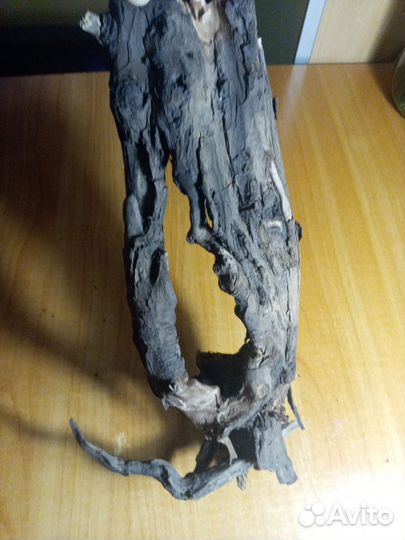 Корни для аквариума