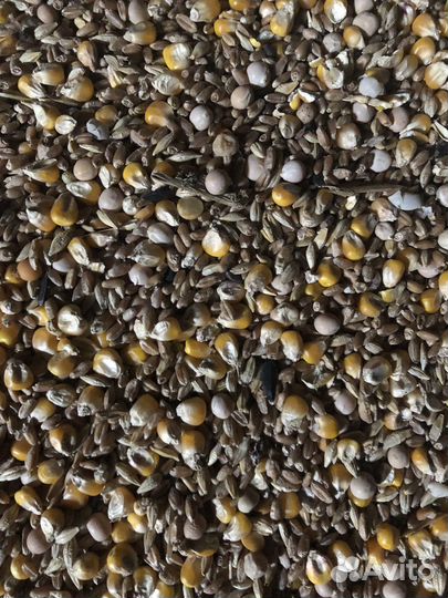 Продам зерносмесь