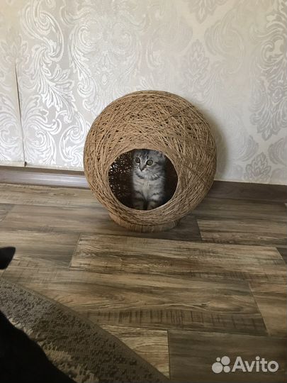 Домик для кошки