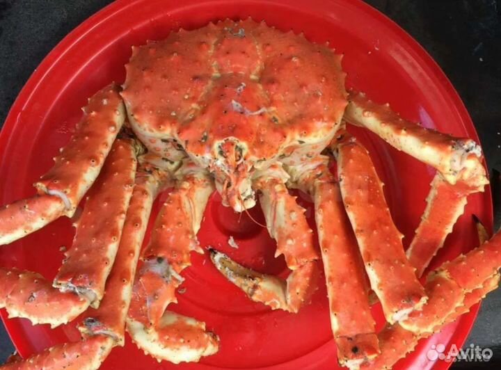 Краб Камчатский