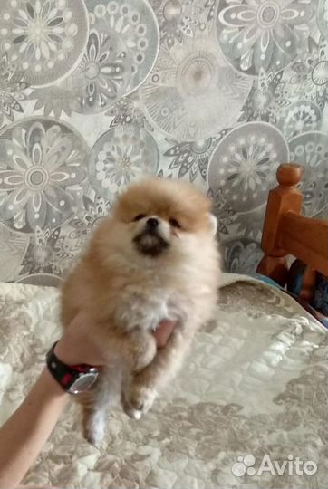 Супер детки