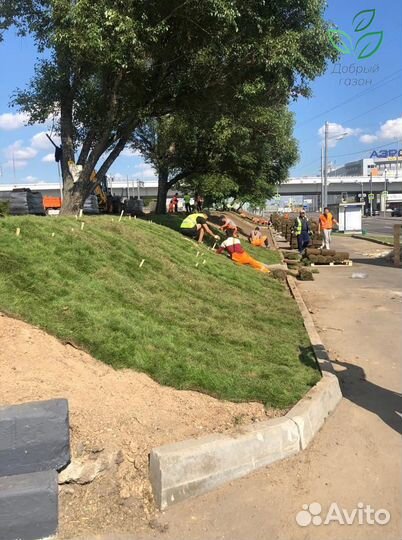 Рулонный газон под ключ