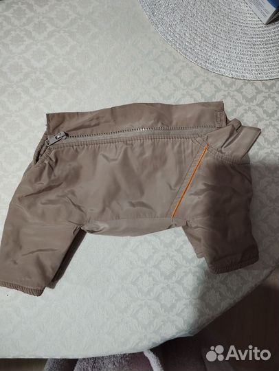 Дождевик для маленьких собак