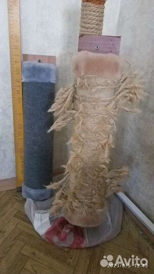 Когтеточка для кошки
