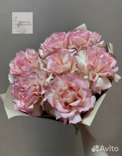 Розы Эквадор кустовые эвкалипт