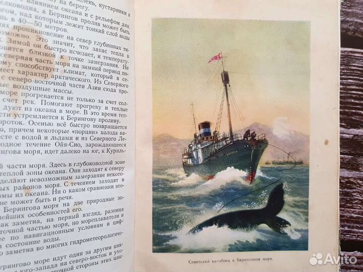 Карелин. Моря нашей Родины. 1954 г
