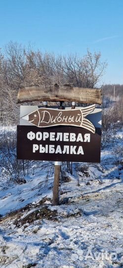 Форелевая рыбалка в Воронеже