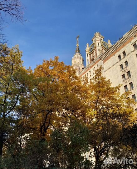 Репетитор по русскому языку и литературе