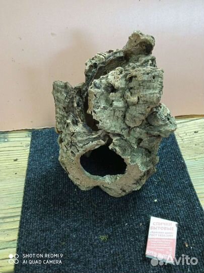 Кора пробкового дуба