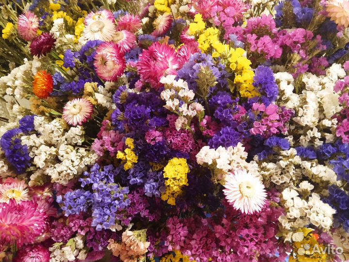 Собираю Букет из сухоцветов на первое сентября