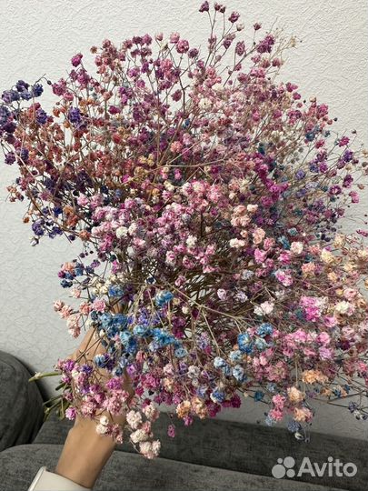 Гипсофила сухоцветы