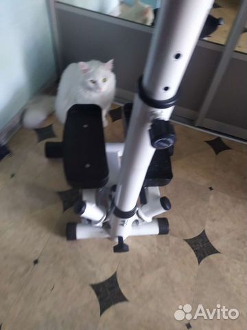 Степпер Torneo Tempo