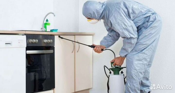 Дезинфекция