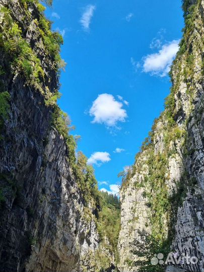 Экскурсия в Абхазию