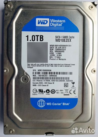 Hdd 1 tb WD blue