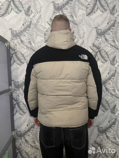 Мужская зимняя куртка TNF