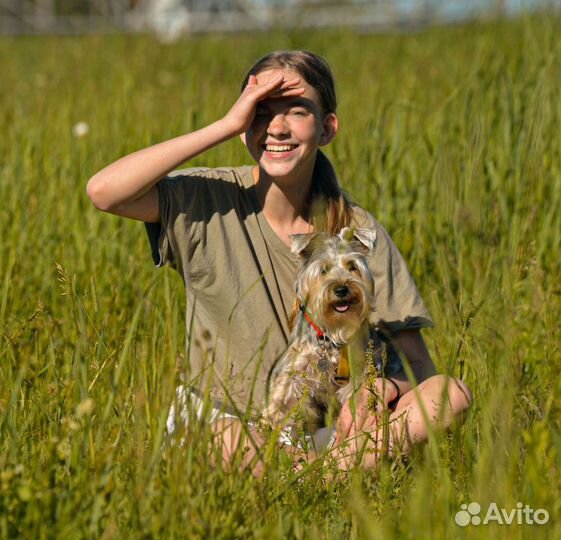 Кинолог/дрессировка собак