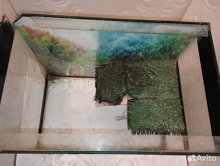 Аквариум